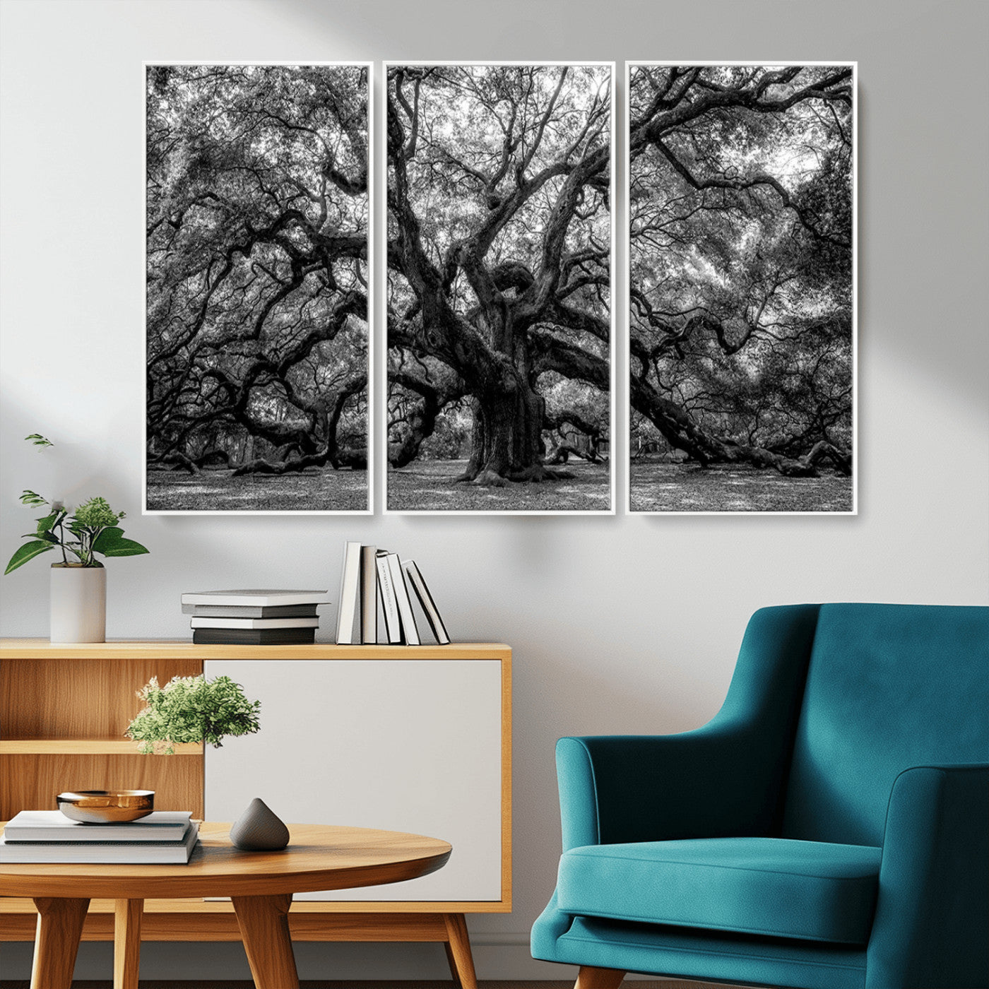 MGV-FC-48X32-3P - Black and White Old Angel Oak Tree Wall Art Canvas Print