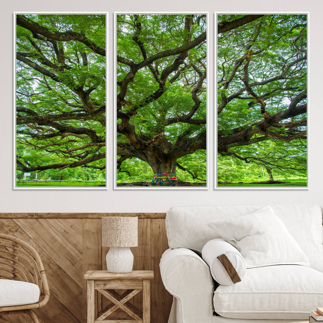 Framed Angel Oak Tree print featuring sprawling branches and ribbons against a clear sky backdrop, ideal for home or office decor.