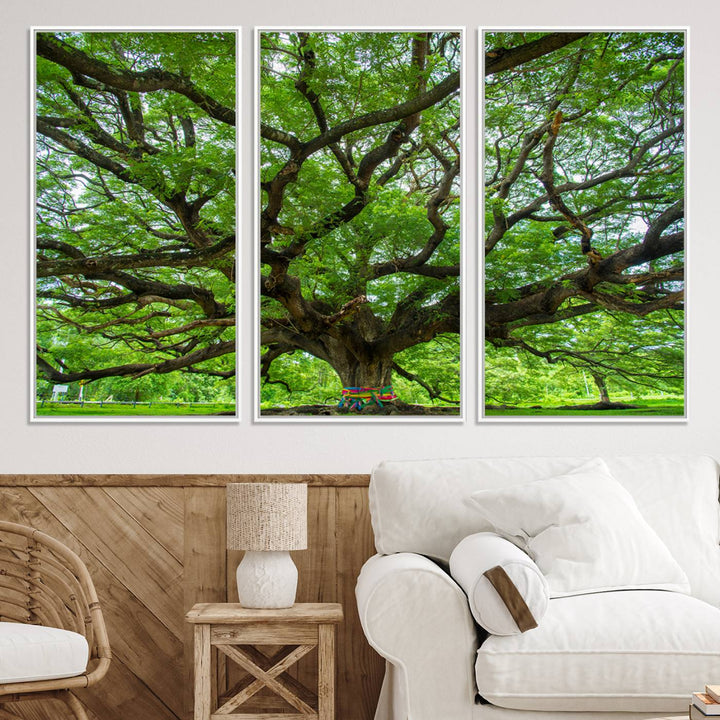 Framed Angel Oak Tree print featuring sprawling branches and ribbons against a clear sky backdrop, ideal for home or office decor.