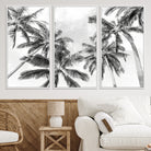 Edit-Images-Black and White Palm Tree Wall Art – Monochrome Tropical Canvas Print for Coastal or Minimalist Living Room Decor