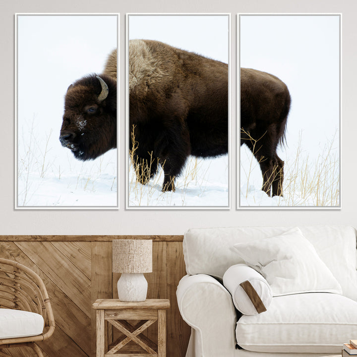 Bison Photography Wall Art Canvas Print, Framed Western Wildlife Art Picture Print, Buffalo On Snow Perfect Western Decor Artwork