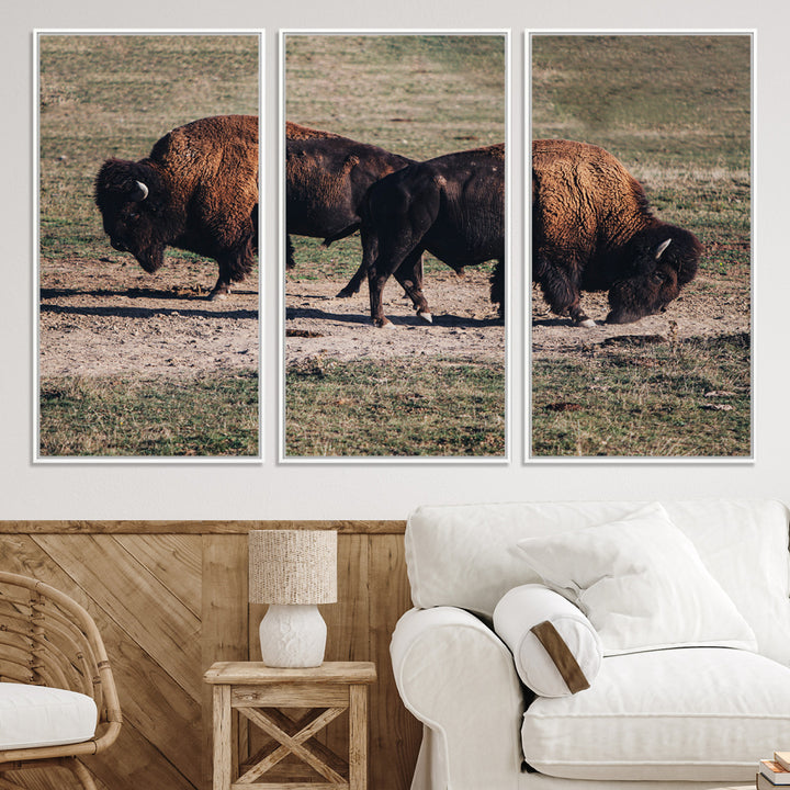 Bison Photography Wall Art Canvas Print, Framed Western Wildlife Art Picture Print, Modern Ranch Perfect Western Rustic Decor Artwork