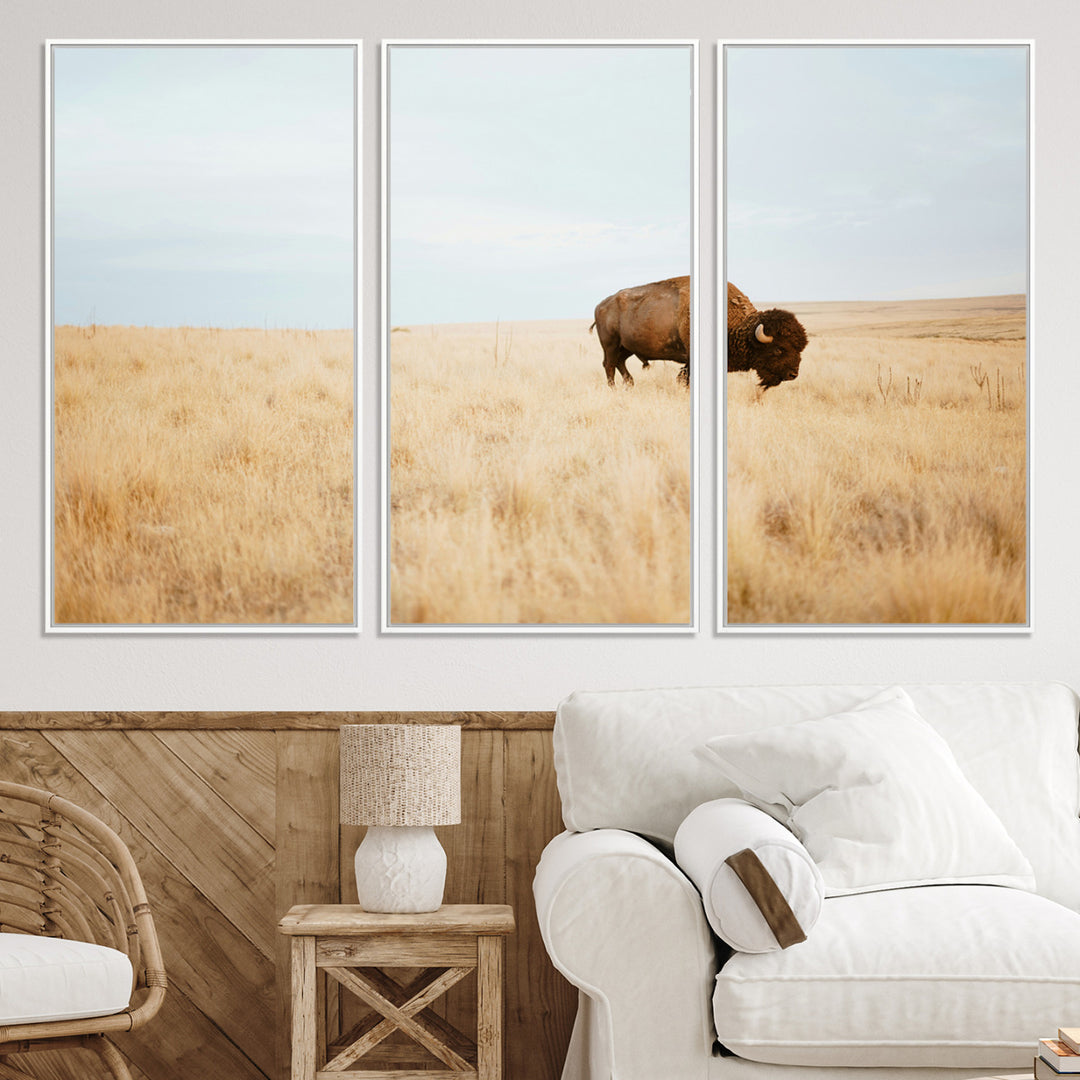 A lone bison standing in a vast golden grassland under a soft blue sky, evoking a rustic and Western aesthetic, ideal for farmhouse decor.