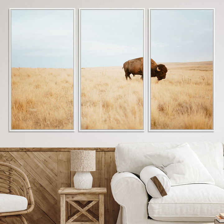 A lone bison standing in a vast golden grassland under a soft blue sky, evoking a rustic and Western aesthetic, ideal for farmhouse decor.