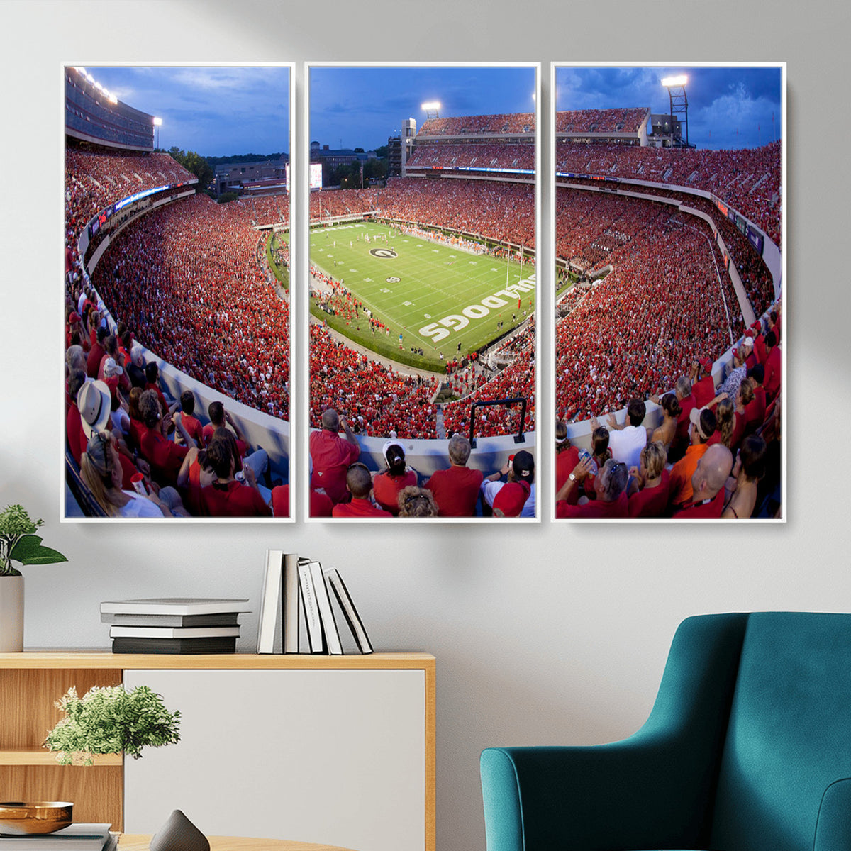 10244378-MGV-CV-36X24 - Dooley Stadium Wall Art, Sports Arena Canvas Print, Dooley Field, Home Bar Wall Decor