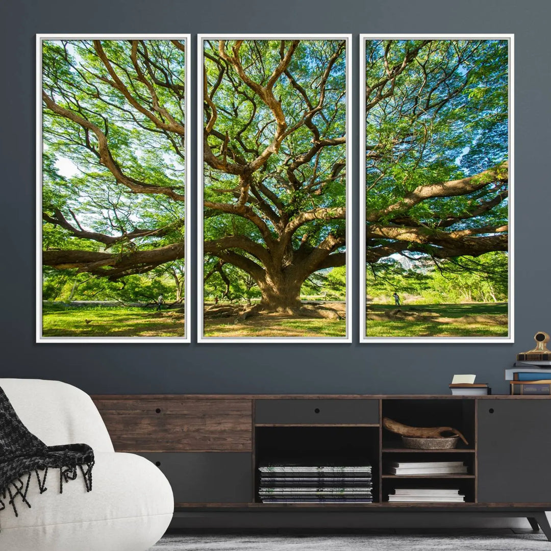 The Angel Oak Tree Wall Art, a multi-panel canvas print showcasing a large tree with sprawling branches and green leaves in a style reminiscent of the majestic Angel Oak Tree, elegantly adorns the wooden wall in the living room.