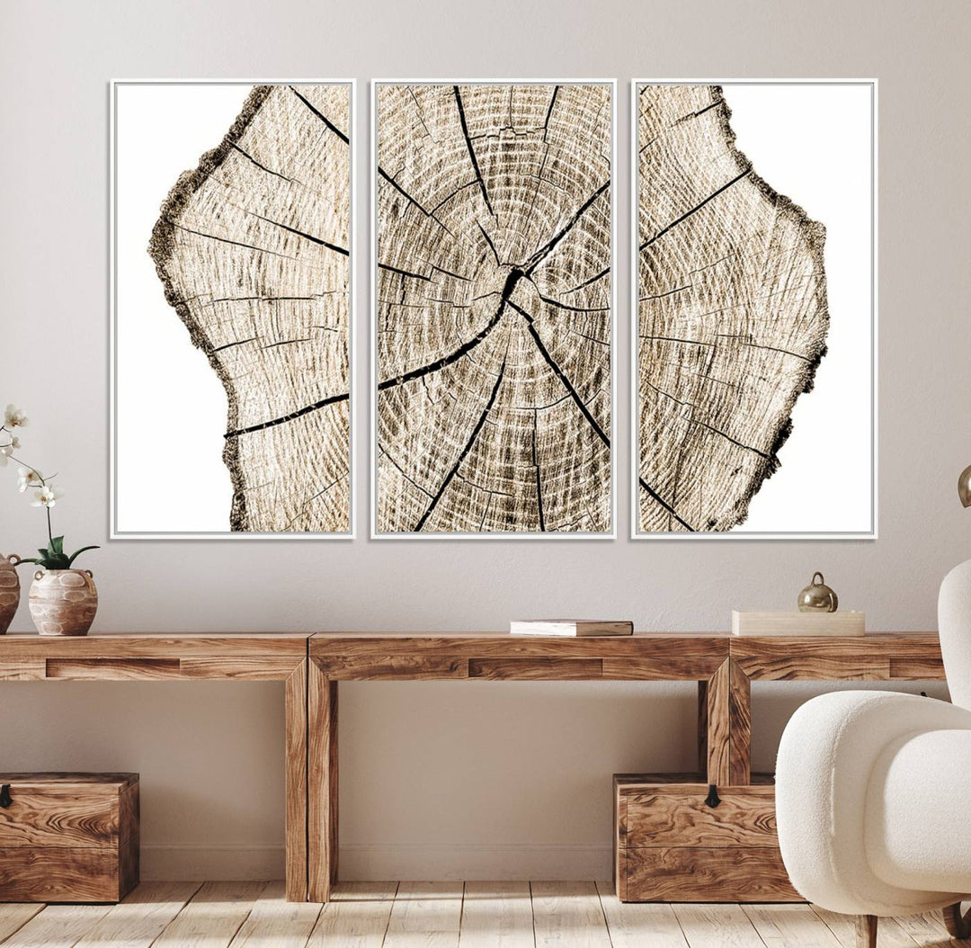 The Abstract Wood Tree Ring Wall Art set of 3 adds a minimalist touch to the space.