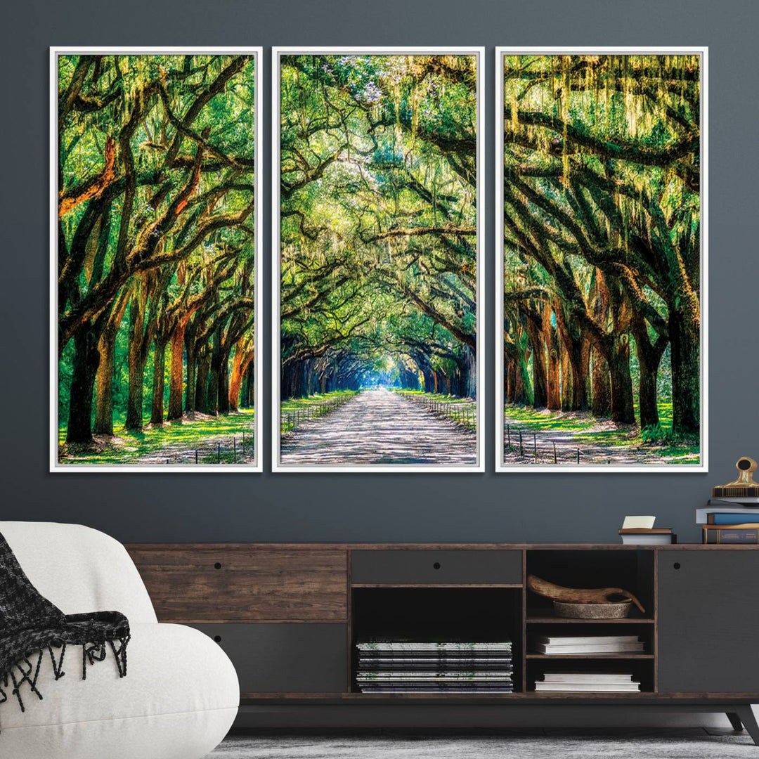 The Serene Tree Tunnel Canvas Print decorates the wall.