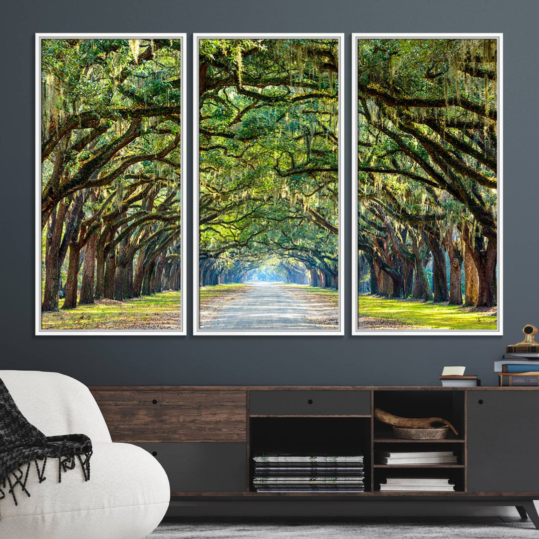 Wormsloe State Plantation Driveway Wall Art shines with Southern charm.