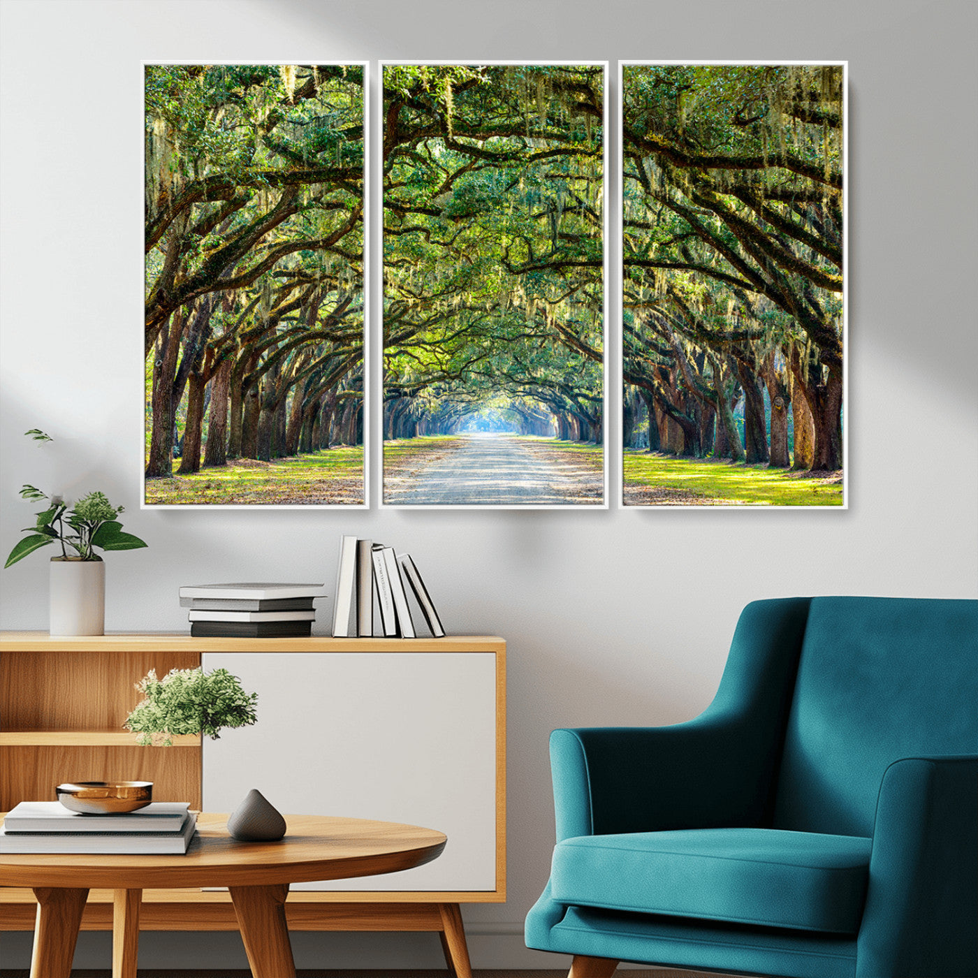 MGV-FC-48X32-3P - Wormsloe State Plantation Driveway Wall Art Canvas Print