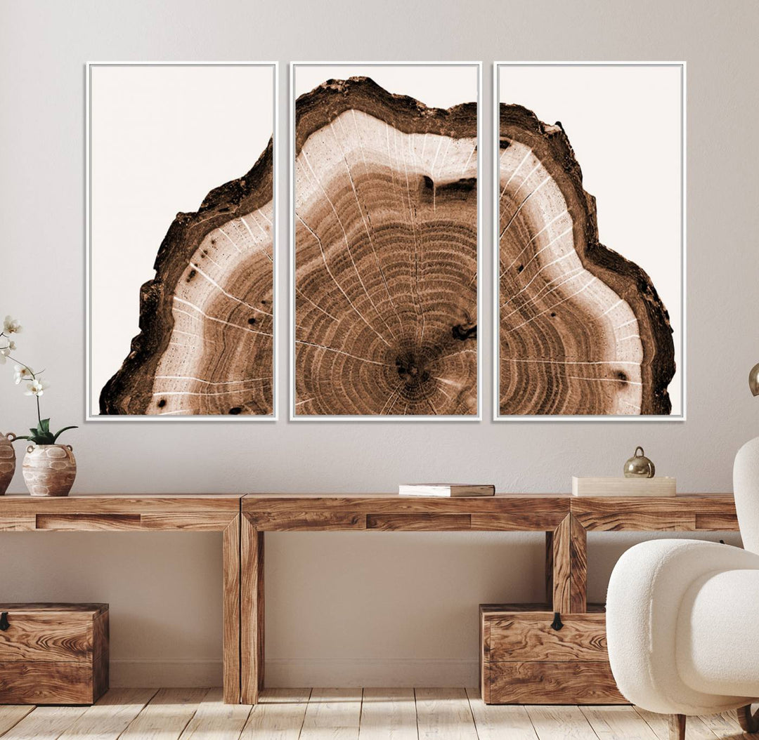 Close-up of the Rustic Wood Rings Wall Art featuring detailed tree rings and natural texture on a plain white background.