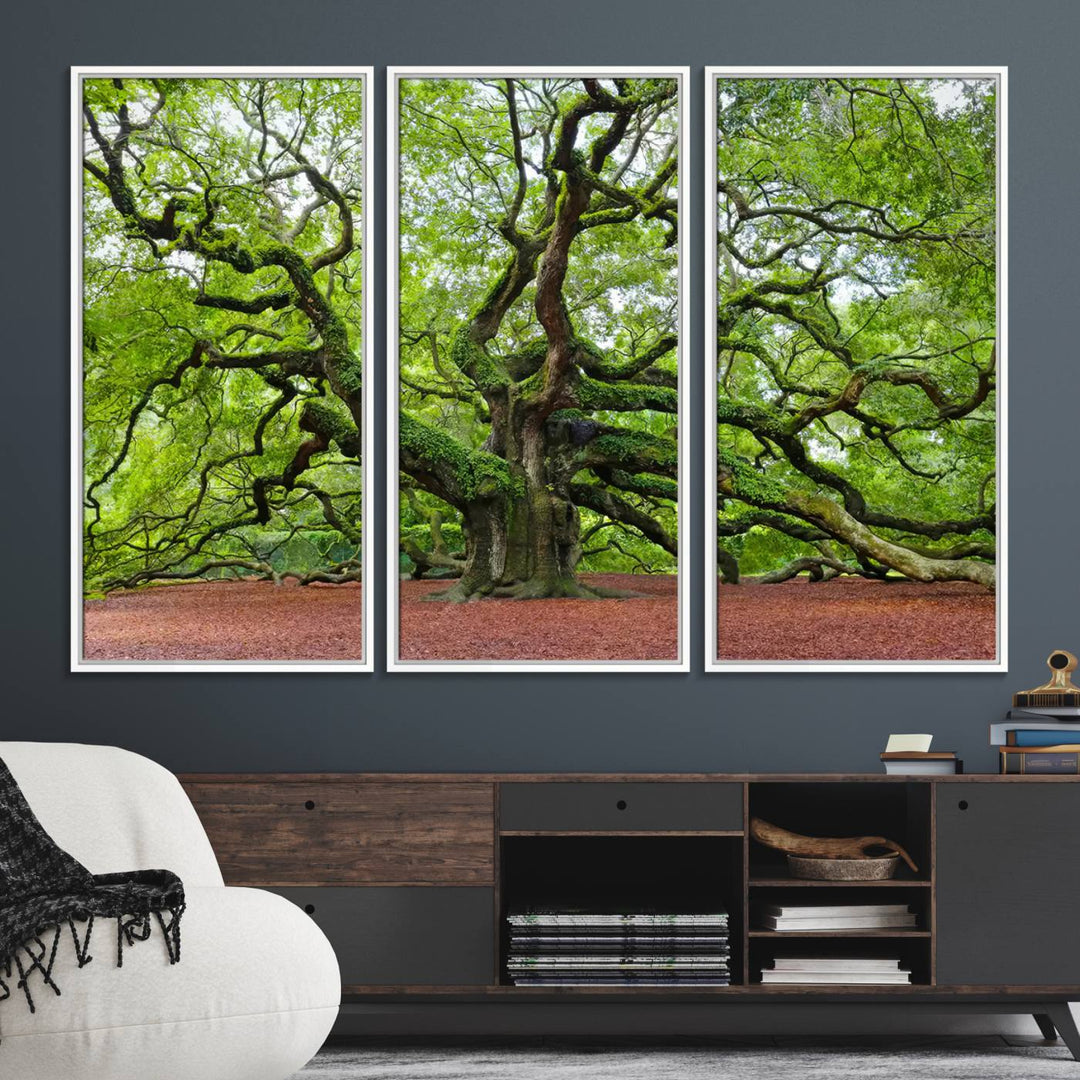 Framed Angel Oak Tree Wall Art: Large 3-panel green nature canvas, ready to hang.