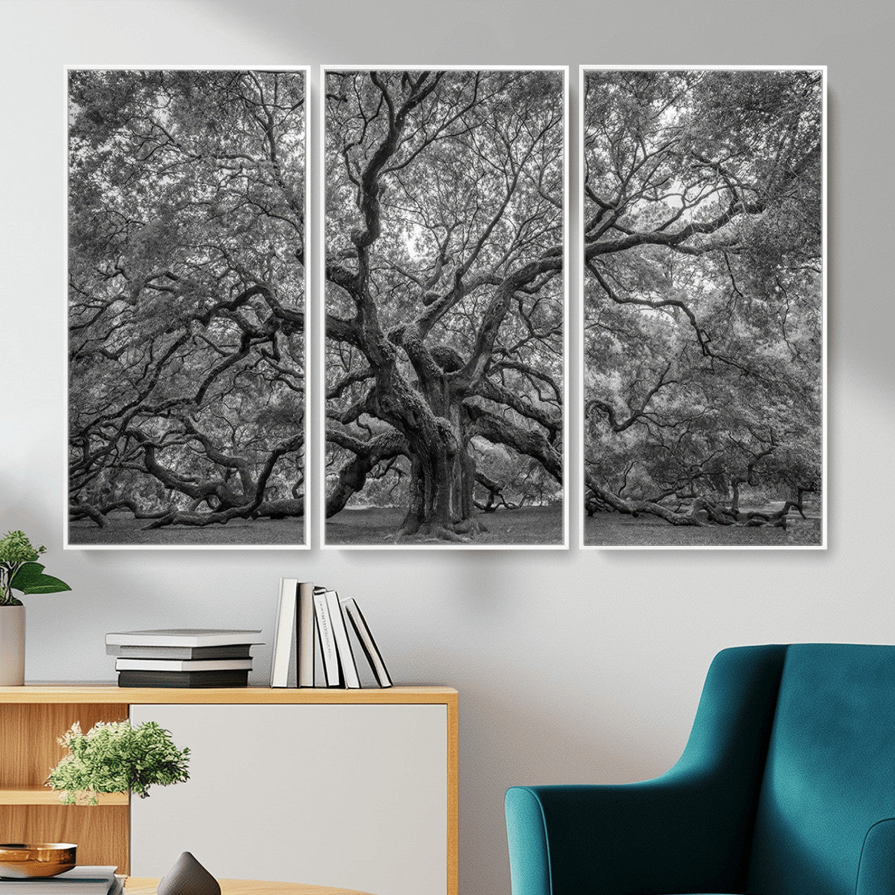 97240-MGV-CV-36X24 - Large Angel Oak Tree Black and White Canvas Print