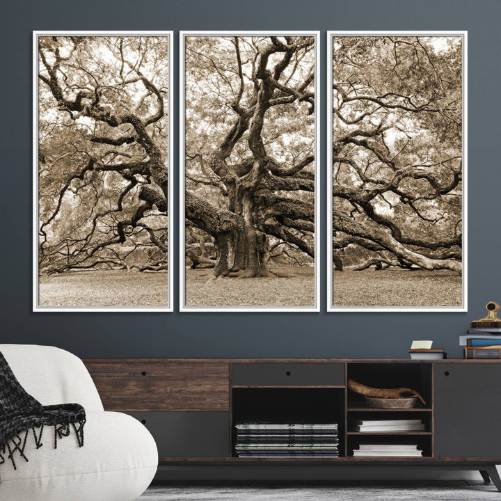 Displayed on the wall is a Sepia-framed Angel Oak Tree 3-panel canvas.