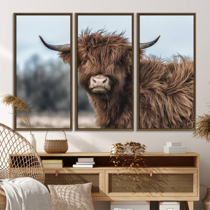 Fluffy Highland Cow Wall Art Canvas Print.