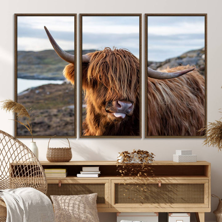 The Cuddly Highland Cow Canvas hangs, adding charm with its shaggy elegance.