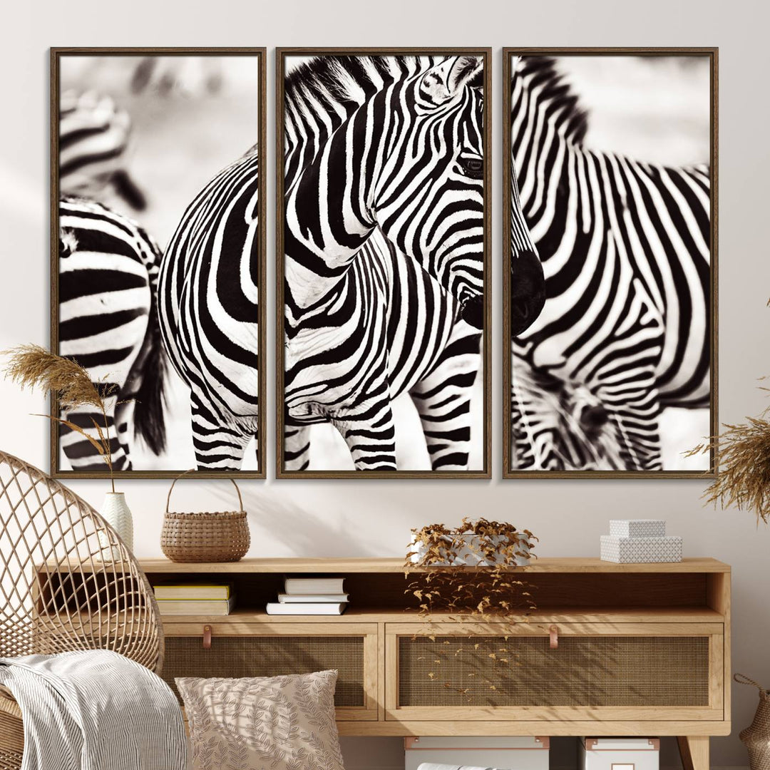 The Brilliant Zebra Photography Art Canvas Print hangs prominently on the wall.