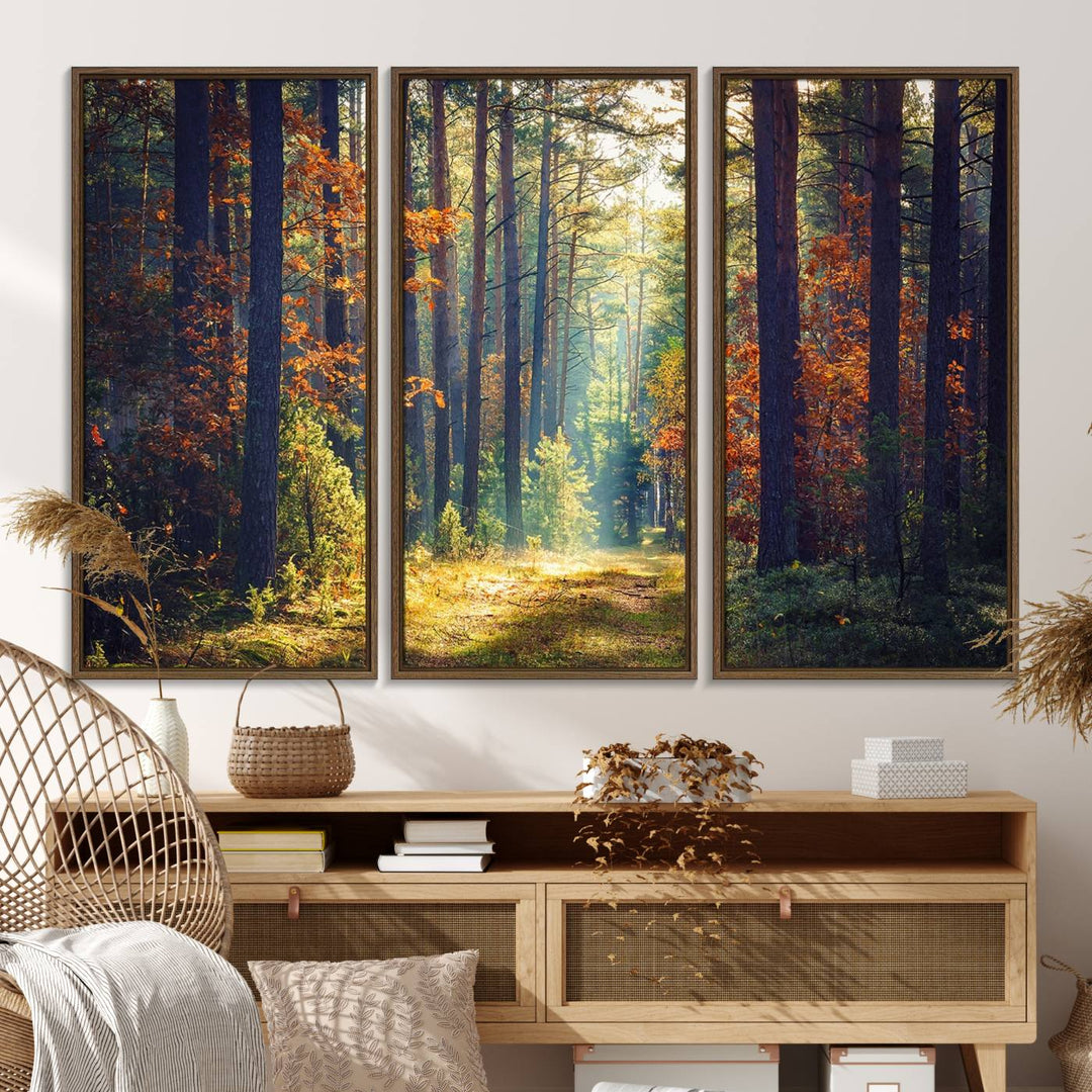 The Dark Forest canvas wall art showcases a captivating forest landscape.