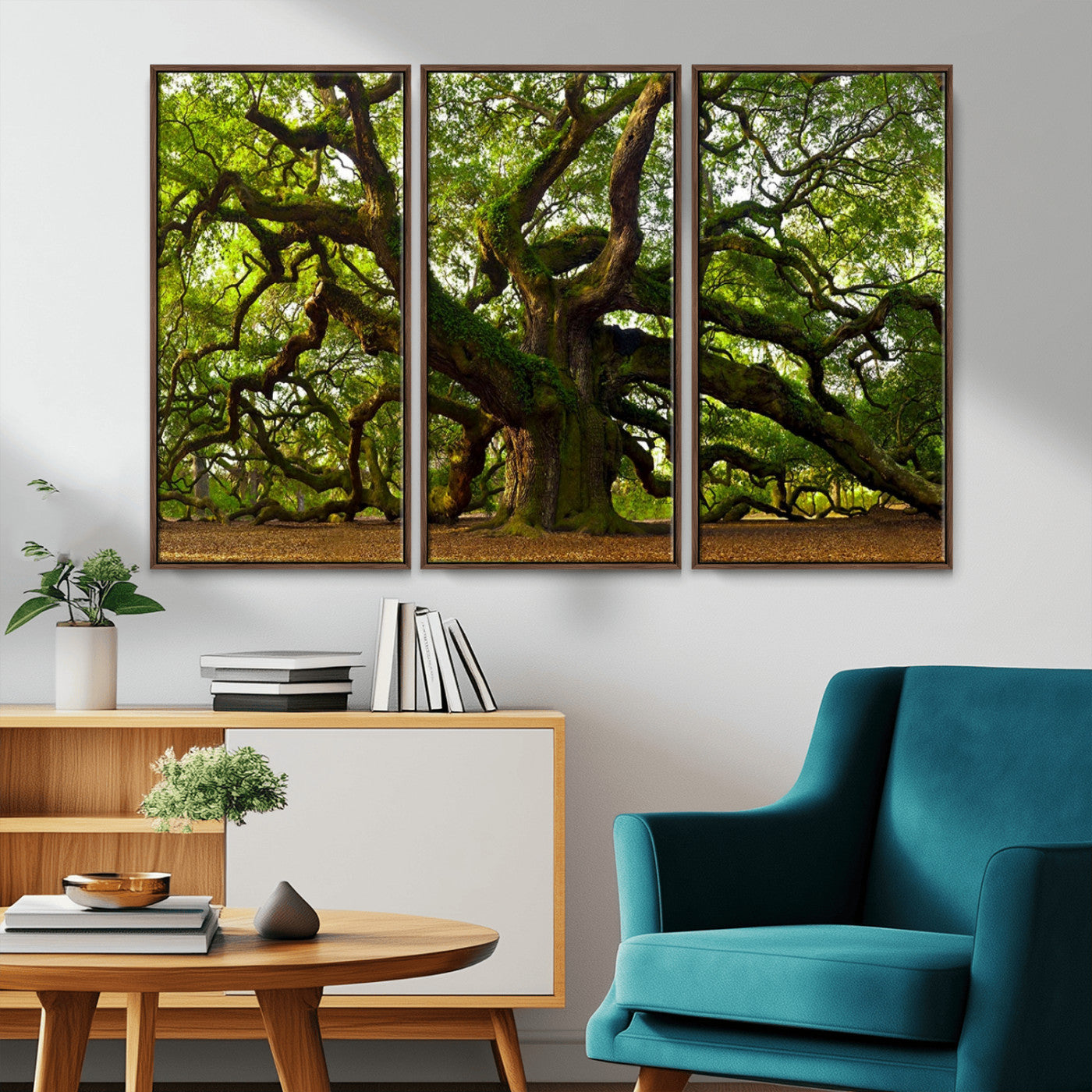MGV-FC-48X32-3P - Angel Oak Tree Wall Art Canvas Print | Forest Tree Nature Photography Print on Canvas | Large Triptych Art for Living Room or Office Decor