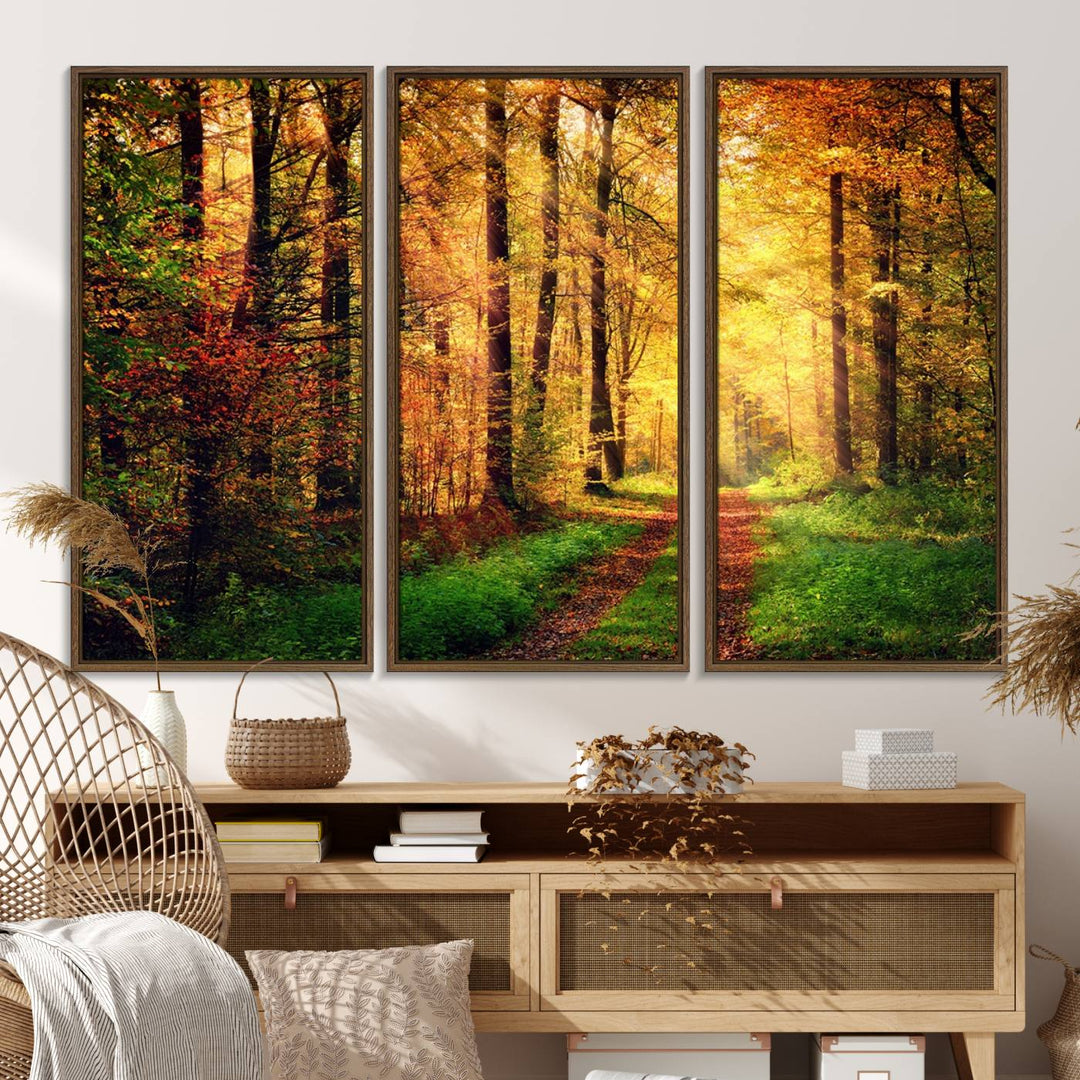 The Sunlight Through Trees Wall Art Canvas Print showcases a sunlit autumn forest and includes UV protection to ensure lasting vibrance.