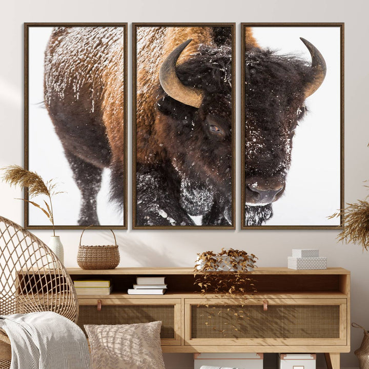 Bison Wall Art Canvas.