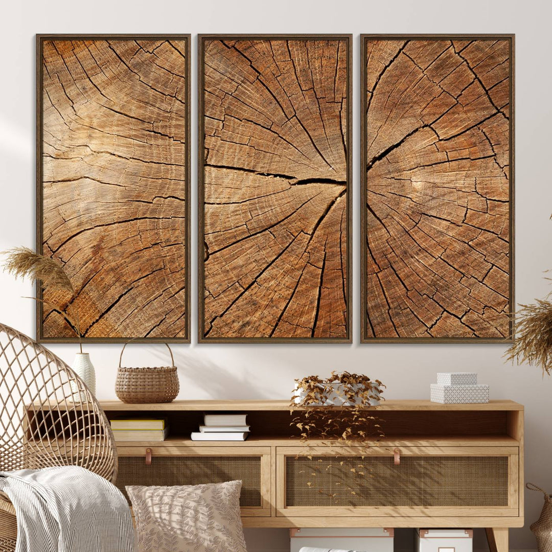 Tree Ring Canvas Art decorates a textured wall.