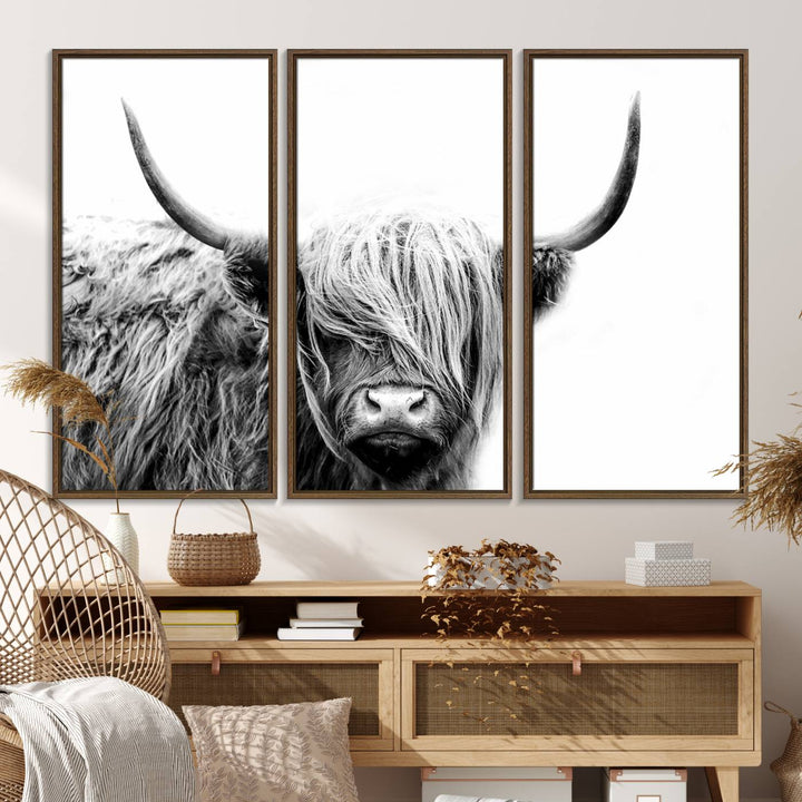 Framed Black and White Scottish Highland Cow Art Print.