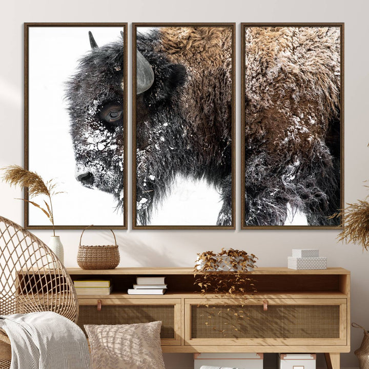 The American Bison Wall Art Print is prominently displayed on the wall.