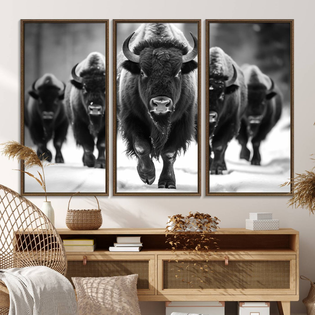 A black and white American Bison herd canvas print adorns the wall.