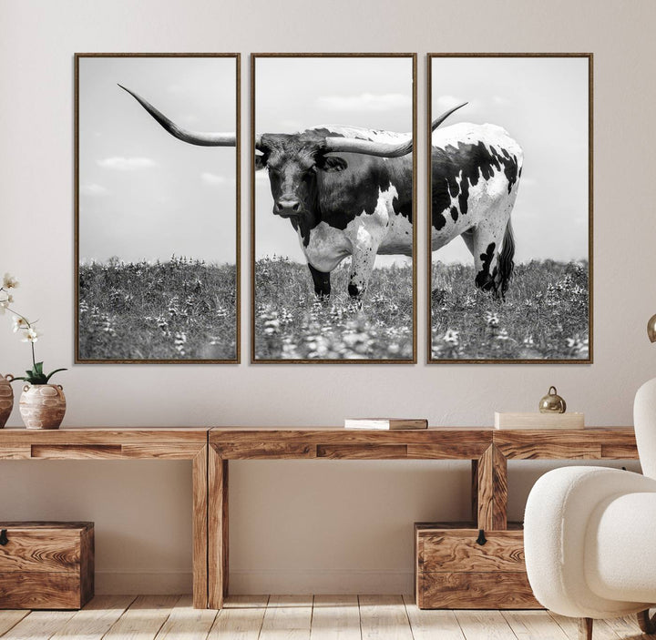 Texas Black White Highland Longhorn Cow Wall Art Canvas displayed on the wall.