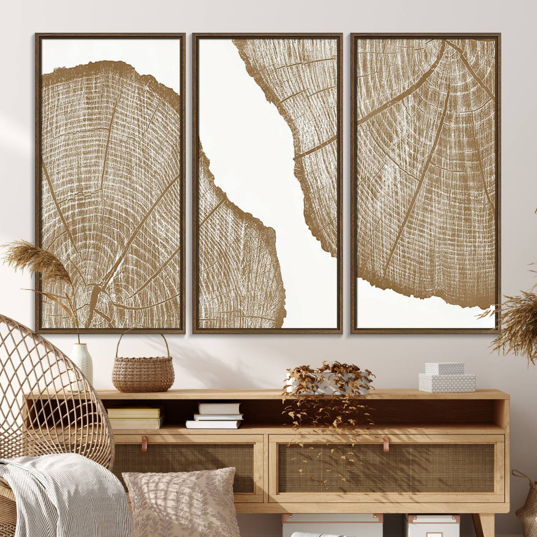 The rustic wall art features two large tree rings, beautifully framed and displayed to create a nature-inspired décor.