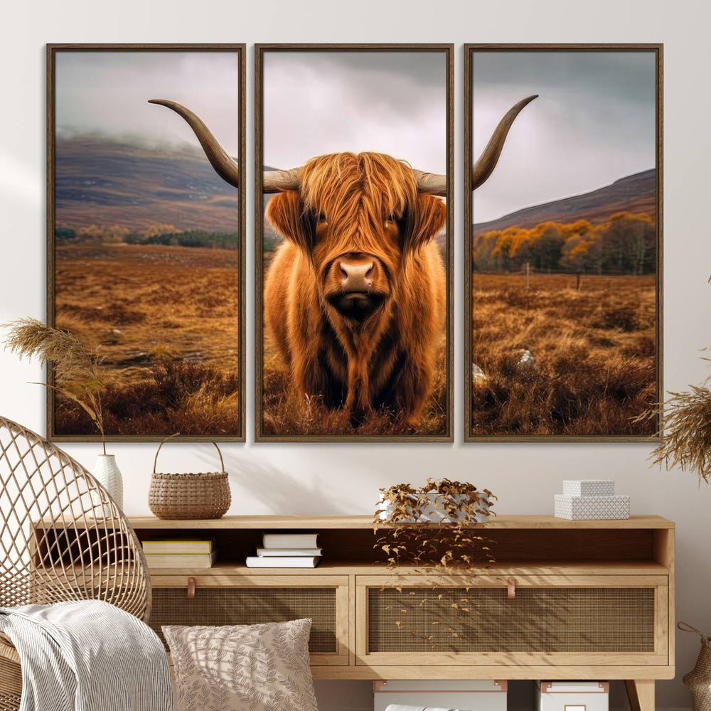 Highland Cow Longhorn Canvas Print, framed, on a wooden wall.