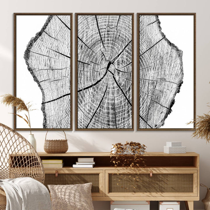 Black and white tree ring art print.