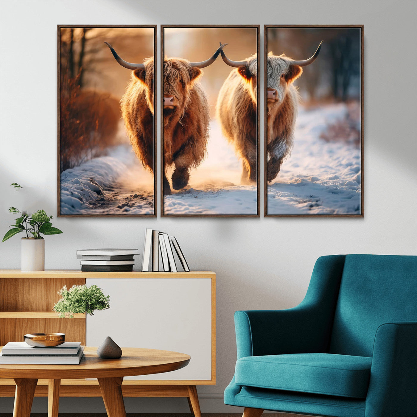MGV-FC-48X32-3P - Scottish Highland Cow Horn Farm Wall Art Canvas Print