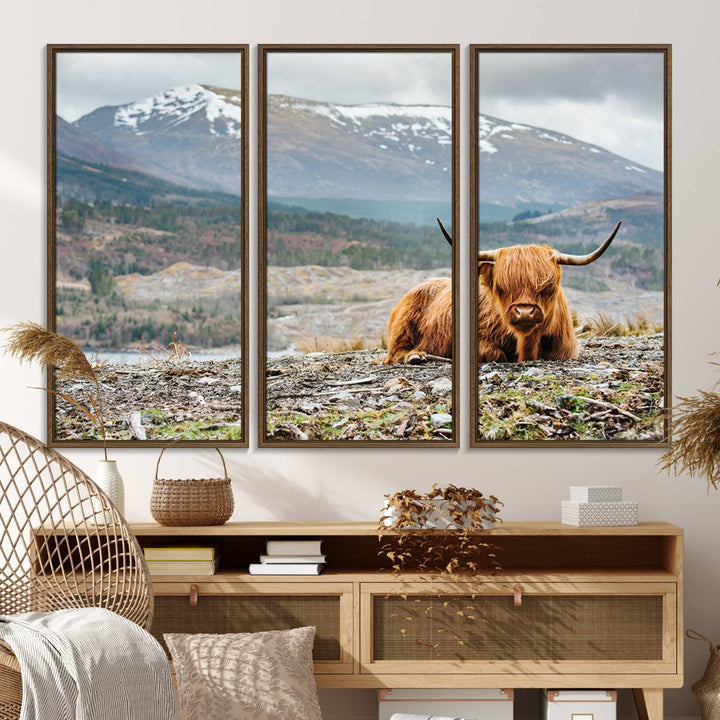 Highland Cow Horn Farm Wall Art Canvas Print is displayed against a wooden wall featuring a mountainous backdrop.