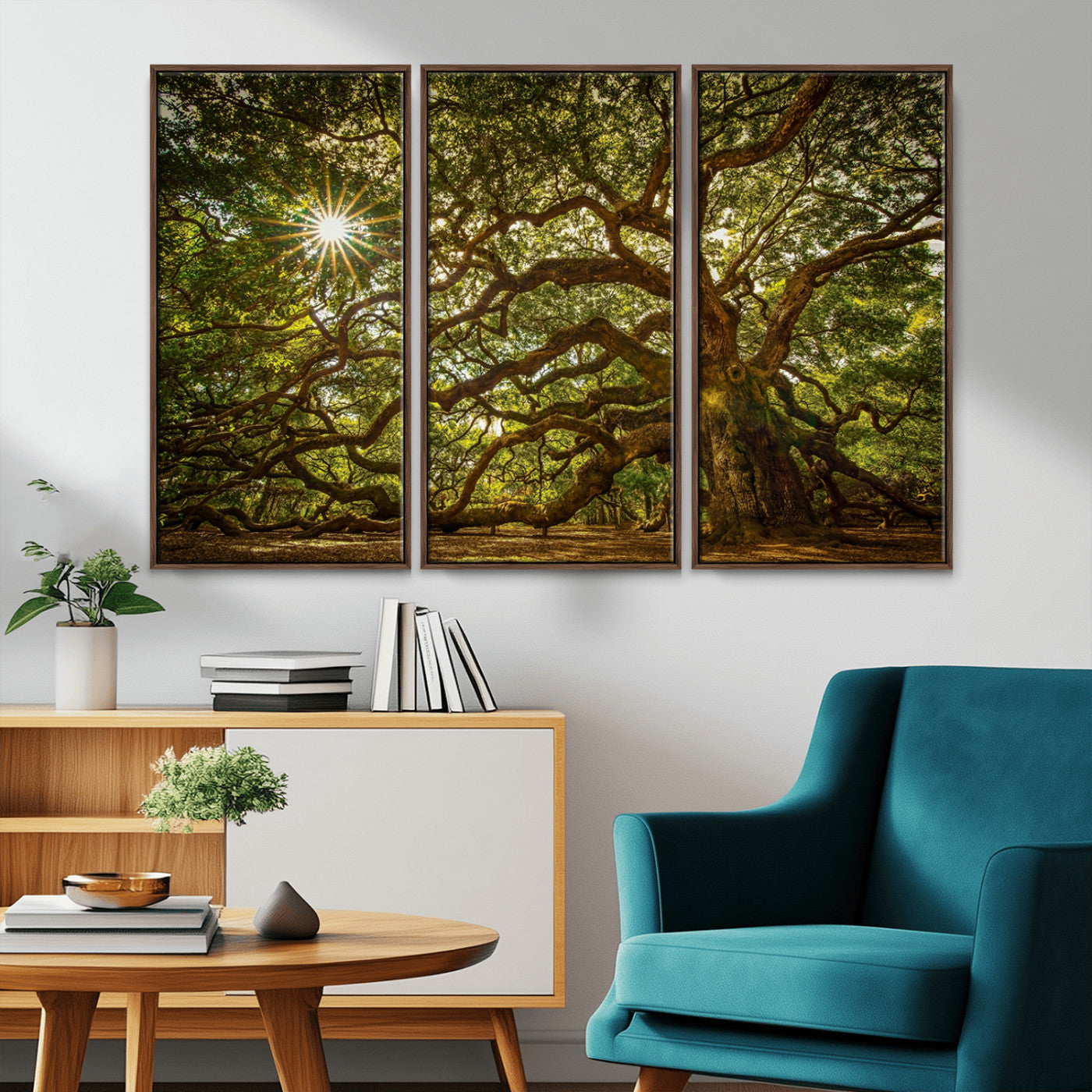 MGV-FC-48X32-3P - Ancient Angel Oak Tree Art Sunburst Canvas Print- Nature-Inspired Triptych Canvas Print, Framed, Ready to Hang