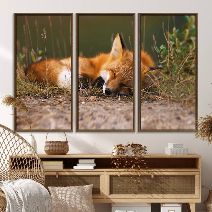 The Sleeping Fox Wall Art Canvas Print is ideal for farmhouse decor.