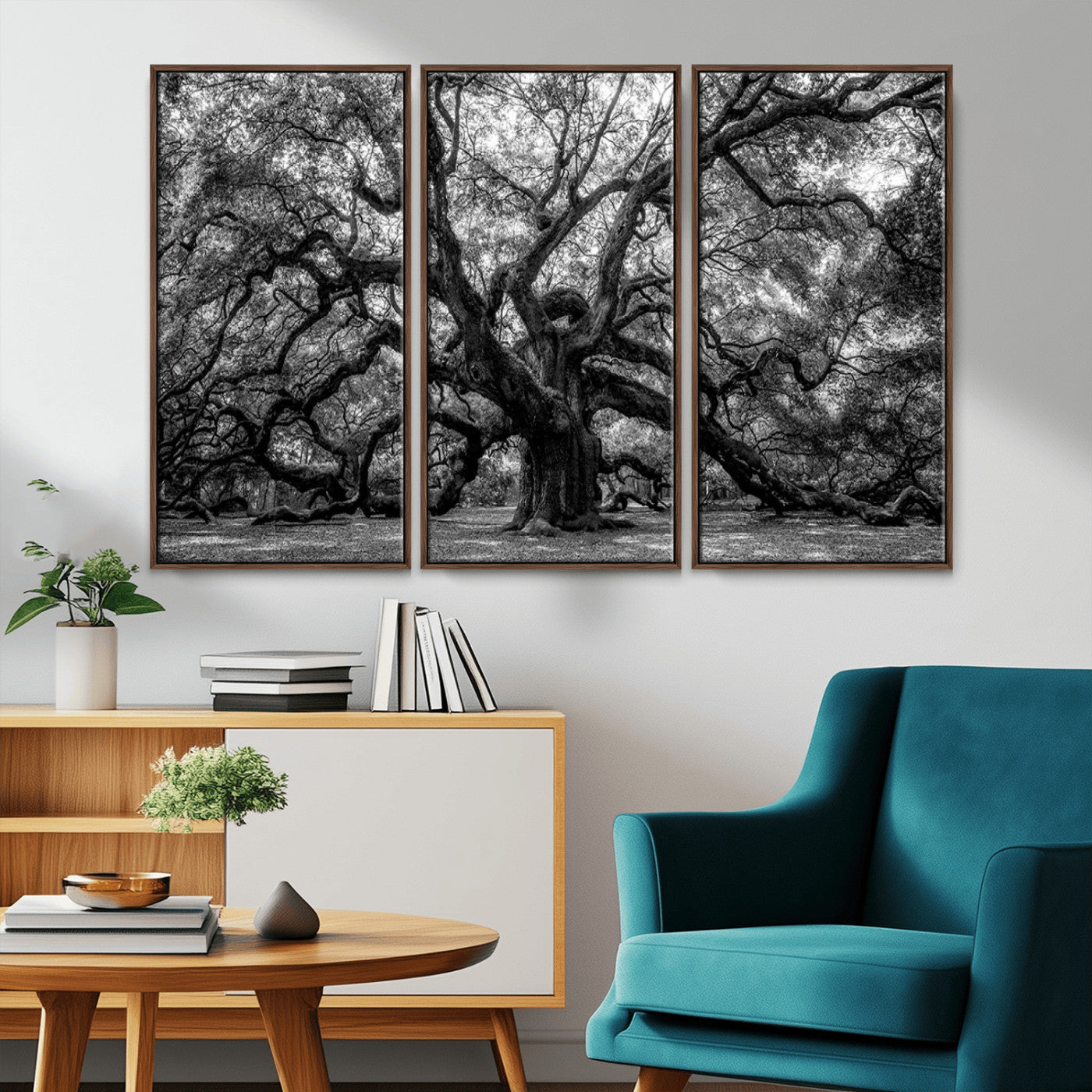 MGV-FC-48X32-3P - Black and White Old Angel Oak Tree Wall Art Canvas Print
