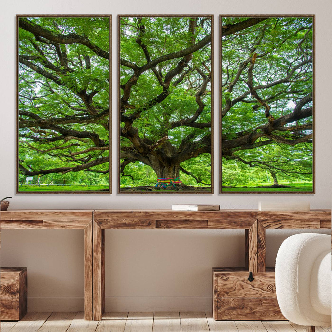 Framed Angel Oak Tree print featuring sprawling branches and ribbons against a clear sky backdrop, ideal for home or office decor.
