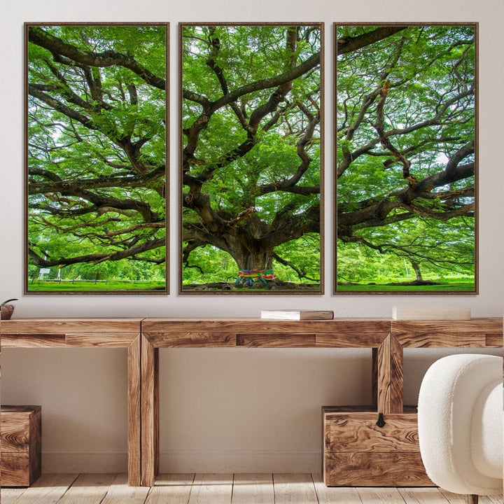Framed Angel Oak Tree print featuring sprawling branches and ribbons against a clear sky backdrop, ideal for home or office decor.