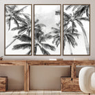 Edit-Images-Black and White Palm Tree Wall Art – Monochrome Tropical Canvas Print for Coastal or Minimalist Living Room Decor