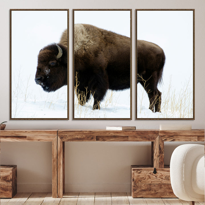 Bison Photography Wall Art Canvas Print, Framed Western Wildlife Art Picture Print, Buffalo On Snow Perfect Western Decor Artwork