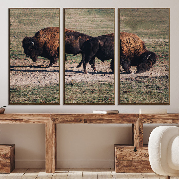 Bison Photography Wall Art Canvas Print, Framed Western Wildlife Art Picture Print, Modern Ranch Perfect Western Rustic Decor Artwork