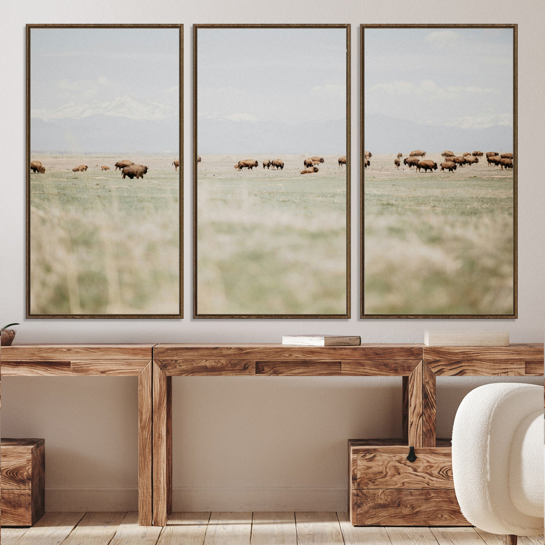 Bison Herd Wall Art Canvas Print, Framed Western Art Picture Print, Bison Perfect Ranch Decor Artwork