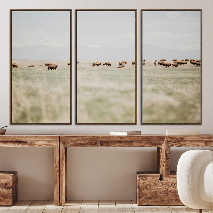 Bison Herd Wall Art Canvas Print, Framed Western Art Picture Print, Bison Perfect Ranch Decor Artwork