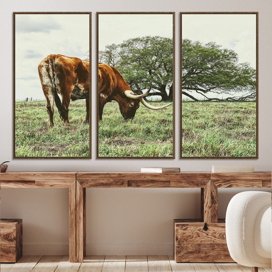 A Texas Longhorn grazing in a green pasture with a large tree in the background, evoking a rustic Western and farmhouse aesthetic.