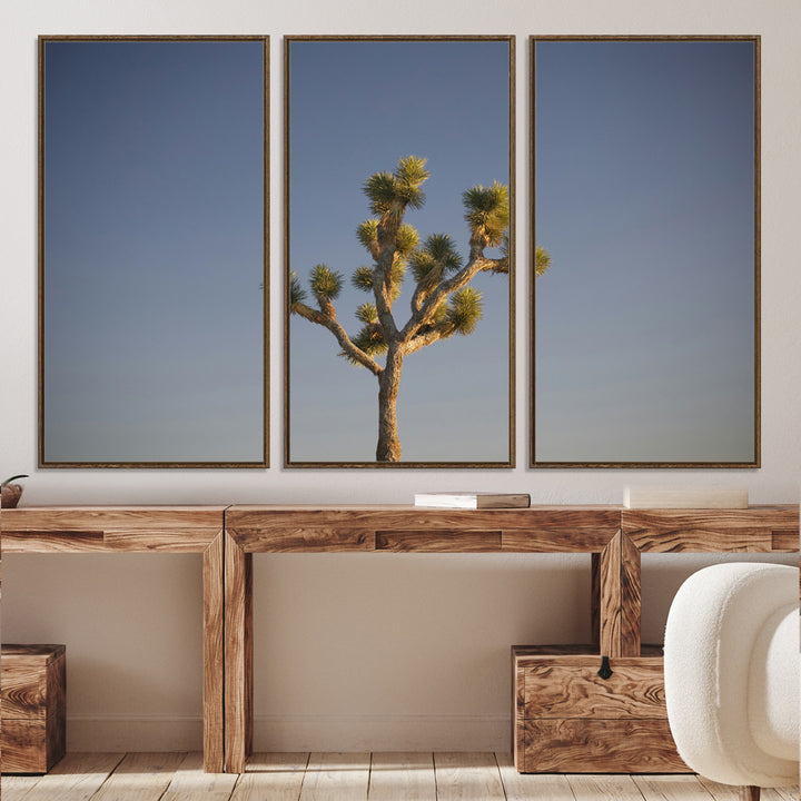A lone Joshua Tree standing against a deep blue sky, capturing the serene and rugged beauty of the Southwestern desert landscape.