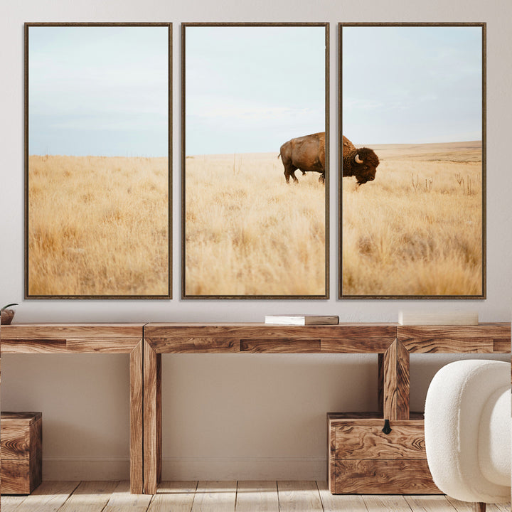 A lone bison standing in a vast golden grassland under a soft blue sky, evoking a rustic and Western aesthetic, ideal for farmhouse decor.