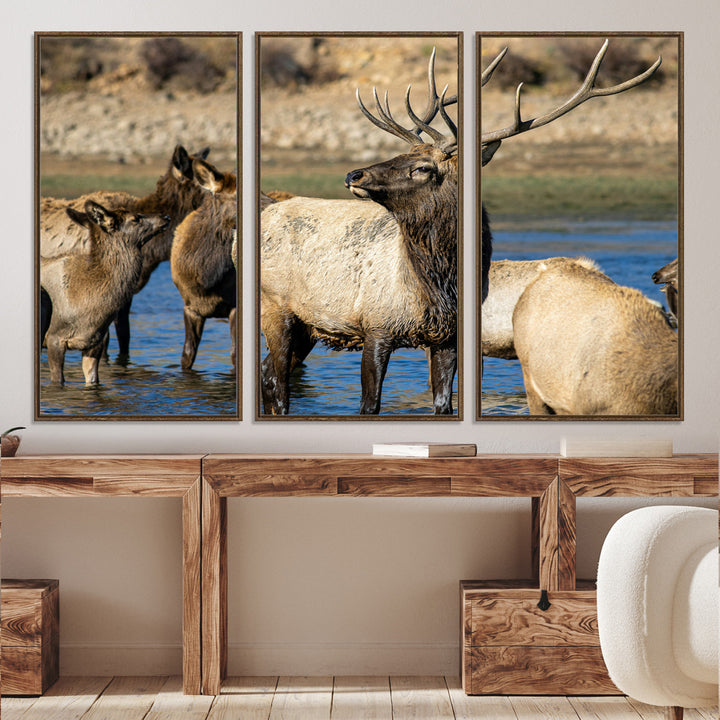 Group of elk standing in shallow water with dry rocky terrain in the background, showcasing wildlife in a natural setting for rustic decor.