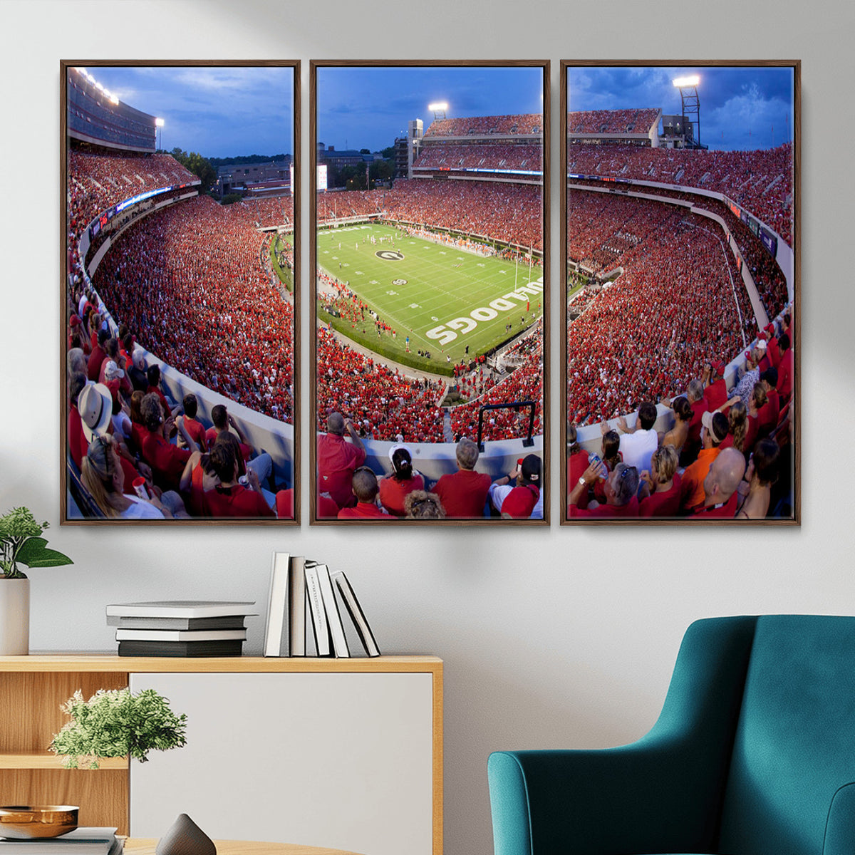 10244378-MGV-CV-36X24 - Dooley Stadium Wall Art, Sports Arena Canvas Print, Dooley Field, Home Bar Wall Decor